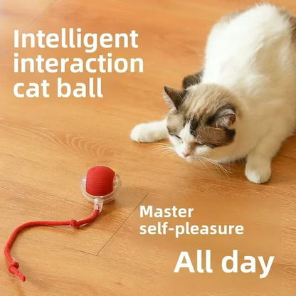 HuntUrs Electric Cat Toy Ball: Rechargeable Fun for Cats & Dogs