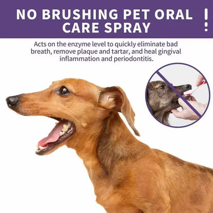 5-in-1 Pet Oral Care: Spray for Clean Teeth & Fresh Breath