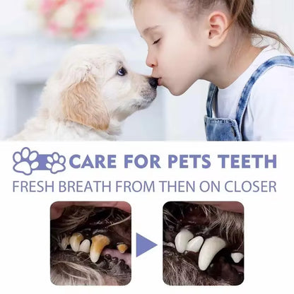 5-in-1 Pet Oral Care: Spray for Clean Teeth & Fresh Breath