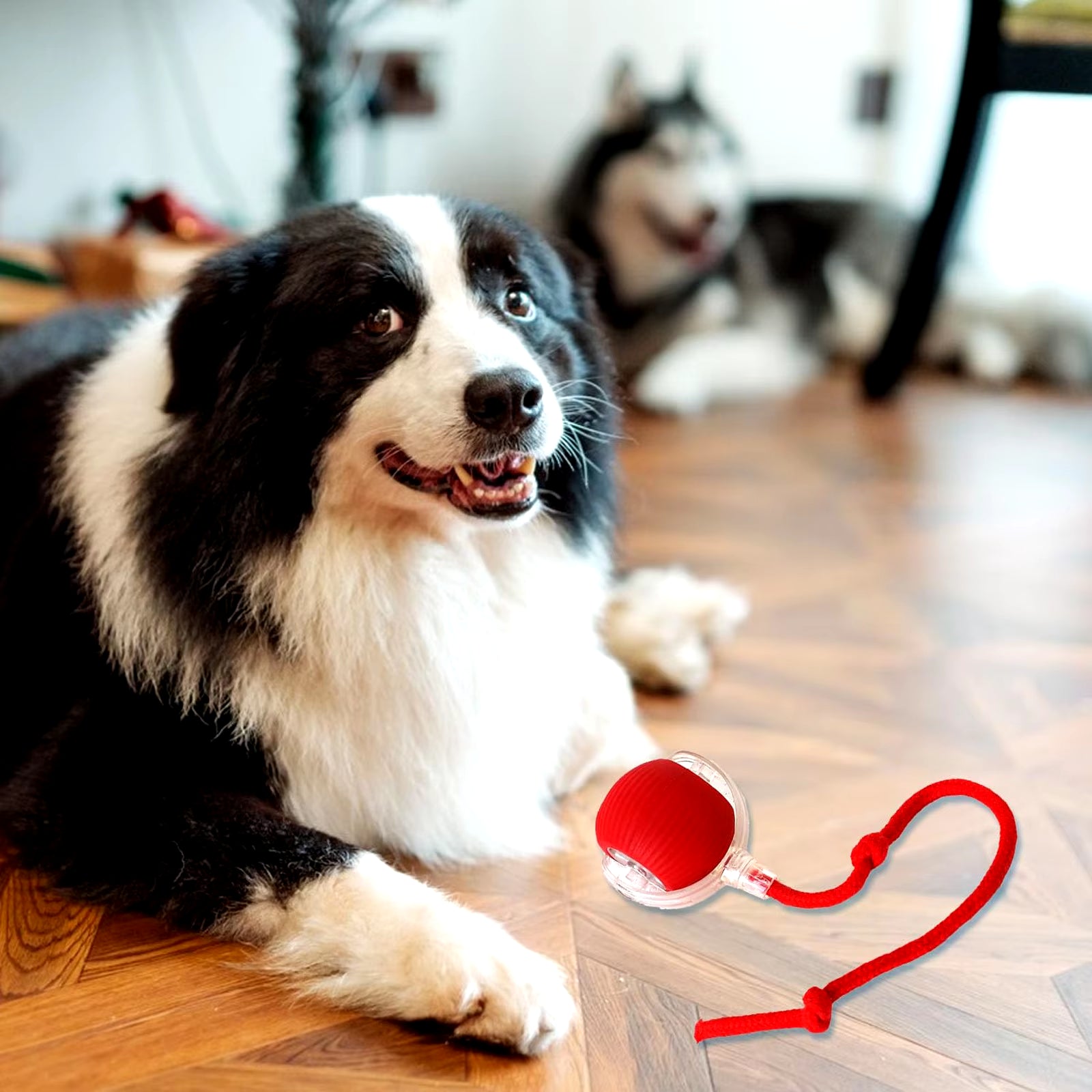 Electric Cat Toy Ball: Rechargeable Fun for Cats & Dogs