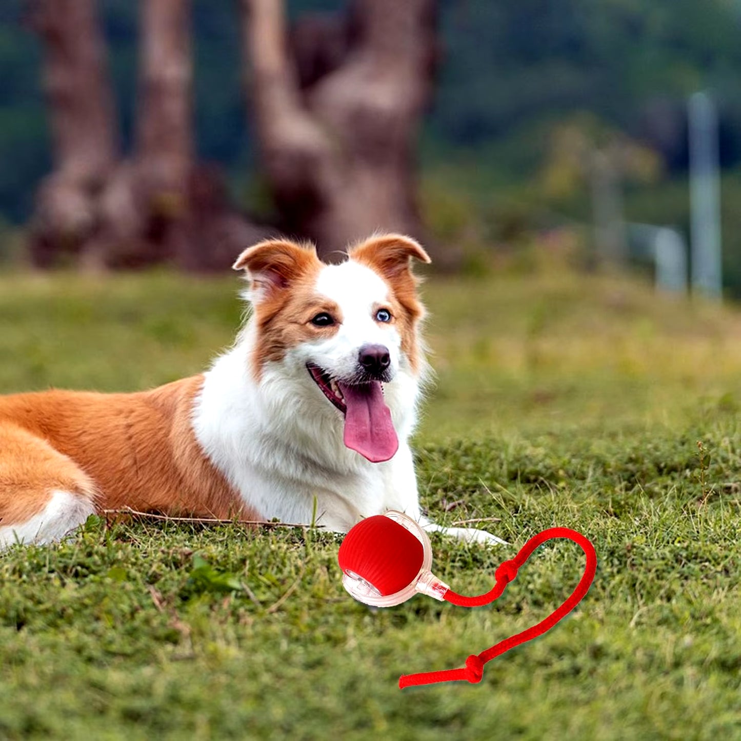 Electric Cat Toy Ball: Rechargeable Fun for Cats & Dogs